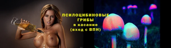 молекула духа Алзамай