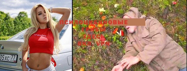 молекула духа Алзамай