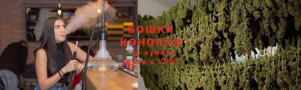 молекула духа Алзамай